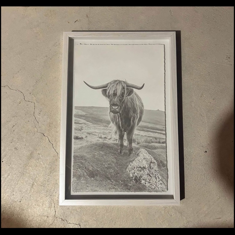 Framed Highland Cow Art Print